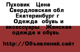 Пуховик › Цена ­ 1 000 - Свердловская обл., Екатеринбург г. Одежда, обувь и аксессуары » Женская одежда и обувь   